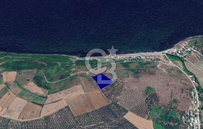 BURSA, MUDANYA, YALIÇİFLİĞİ MAH. KETENDERE'DE SATILIK HOBİ BAH.