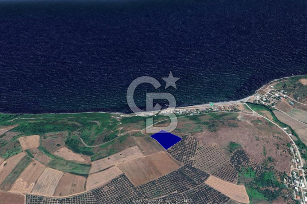 BURSA, MUDANYA, YALIÇİFLİĞİ MAH. KETENDERE'DE SATILIK HOBİ BAH.