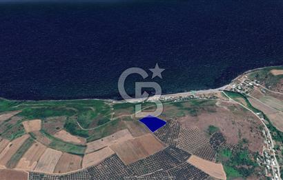 BURSA, MUDANYA, YALIÇİFLİĞİ MAH. KETENDERE'DE SATILIK HOBİ BAH.