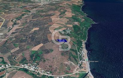 BURSA, MUDANYA, YALIÇİFLİĞİ MAH. KETENDERE'DE SATILIK HOBİ BAH.