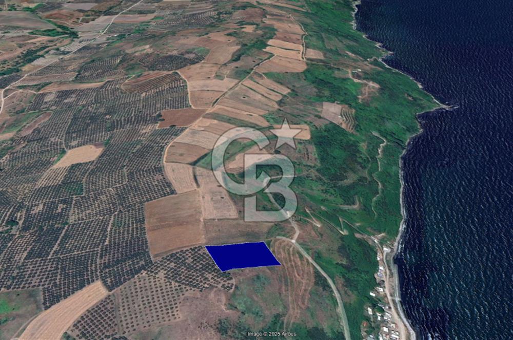 BURSA, MUDANYA, YALIÇİFLİĞİ MAH. KETENDERE'DE SATILIK HOBİ BAH.