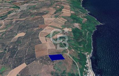 BURSA, MUDANYA, YALIÇİFLİĞİ MAH. KETENDERE'DE SATILIK HOBİ BAH.