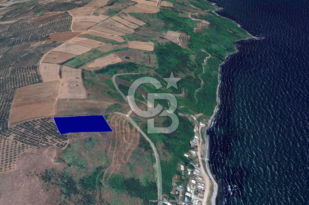 BURSA, MUDANYA, YALIÇİFLİĞİ MAH. KETENDERE'DE SATILIK HOBİ BAH.