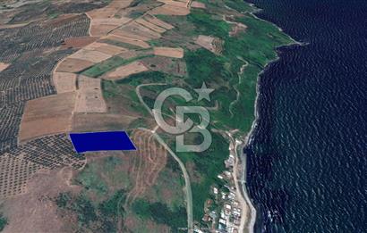 BURSA, MUDANYA, YALIÇİFLİĞİ MAH. KETENDERE'DE SATILIK HOBİ BAH.