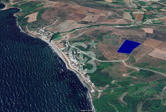 BURSA, MUDANYA, YALIÇİFLİĞİ MAH. KETENDERE'DE SATILIK HOBİ BAH. - 1 - 314717