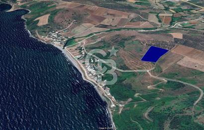 BURSA, MUDANYA, YALIÇİFLİĞİ MAH. KETENDERE'DE SATILIK HOBİ BAH.