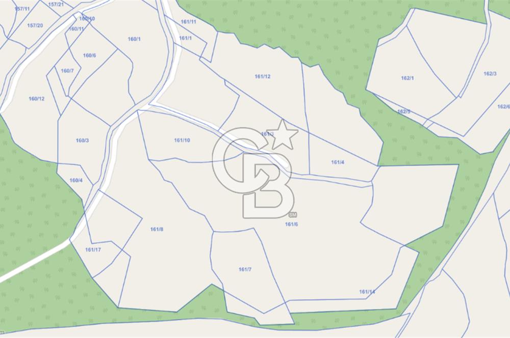 6030 M2 SATILIK FINDIK TARLASI..