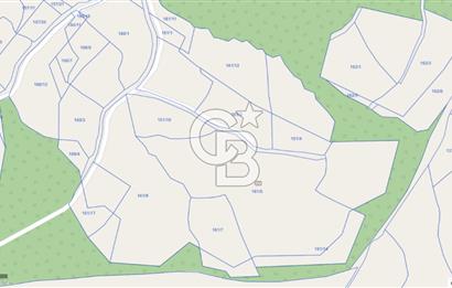 6030 M2 SATILIK FINDIK TARLASI..