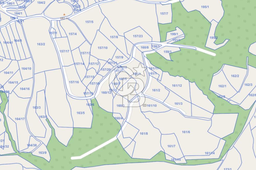 6030 M2 SATILIK FINDIK TARLASI..
