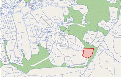 6030 M2 SATILIK FINDIK TARLASI..