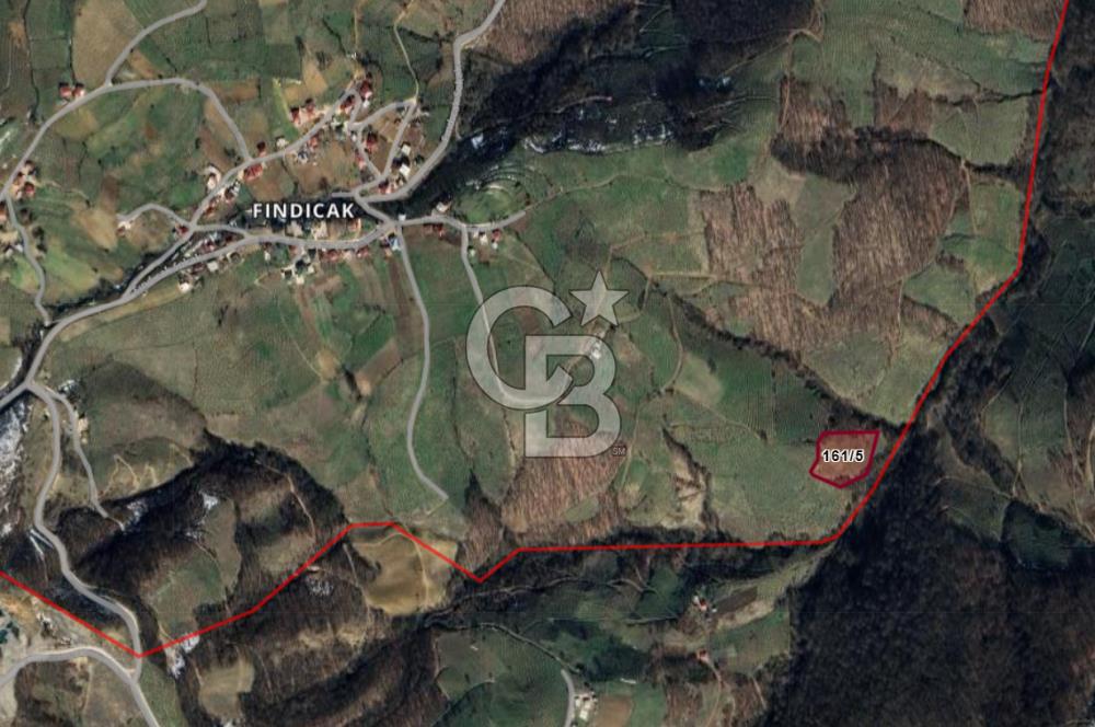 6030 M2 SATILIK FINDIK TARLASI..