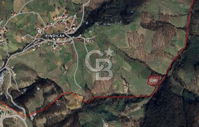 6030 M2 SATILIK FINDIK TARLASI..