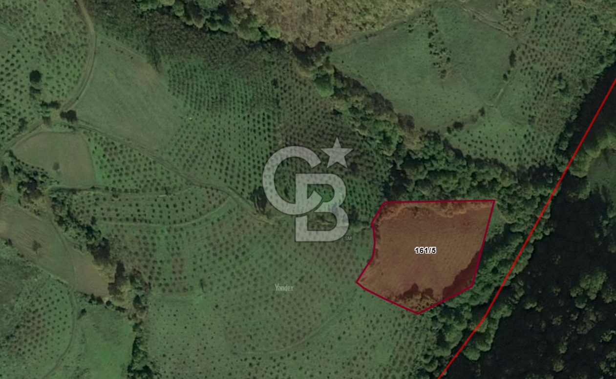 6030 M2 SATILIK FINDIK TARLASI..