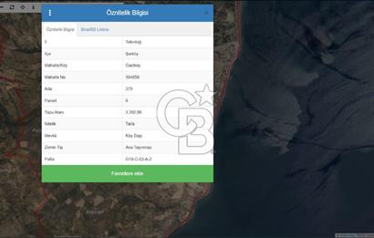 Tekirdağ Şarköy' de Yola Cepheli Satılık Tarla Üzüm Bağları