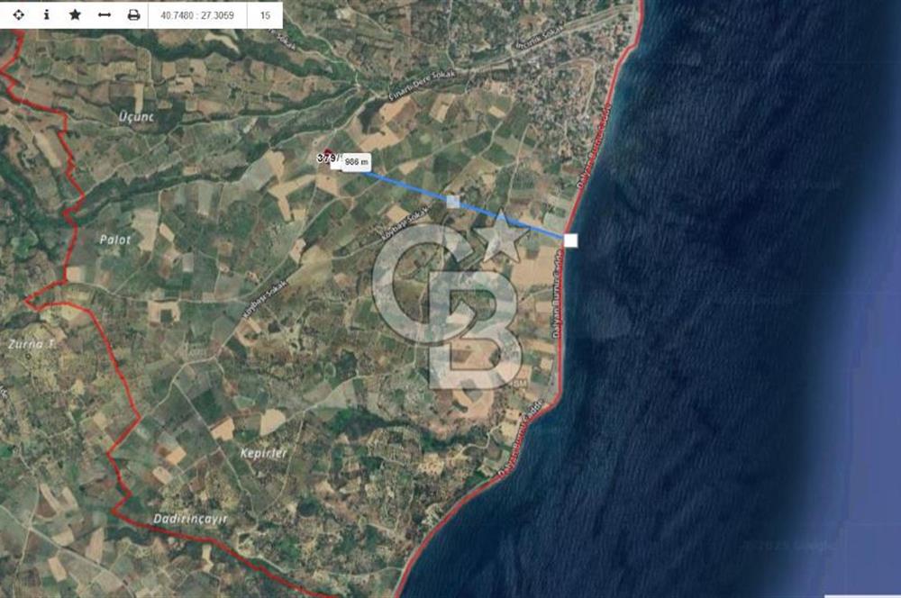 Tekirdağ Şarköy' de Yola Cepheli Satılık Tarla Üzüm Bağları