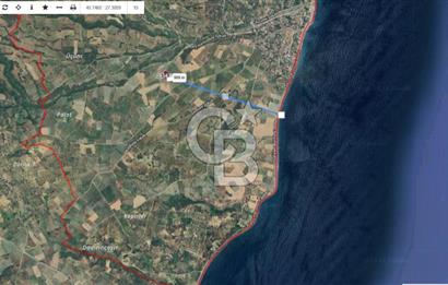 Tekirdağ Şarköy' de Yola Cepheli Satılık Tarla Üzüm Bağları