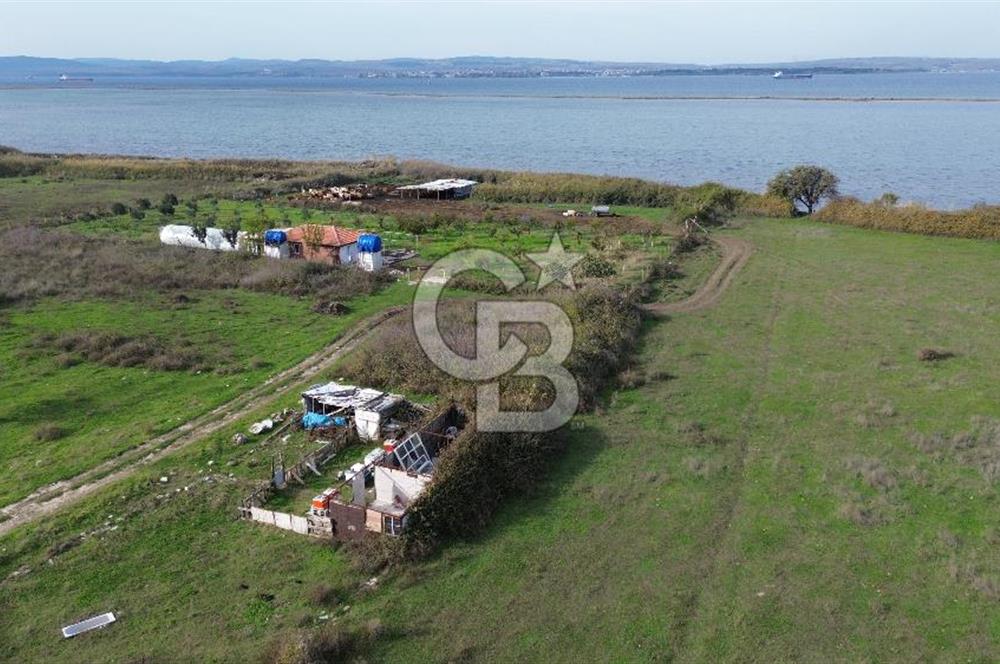 ÇANAKKALE LAPSEKİ – ÇARDAK MEVKİİNDE 171 m² SATILIK ARSA