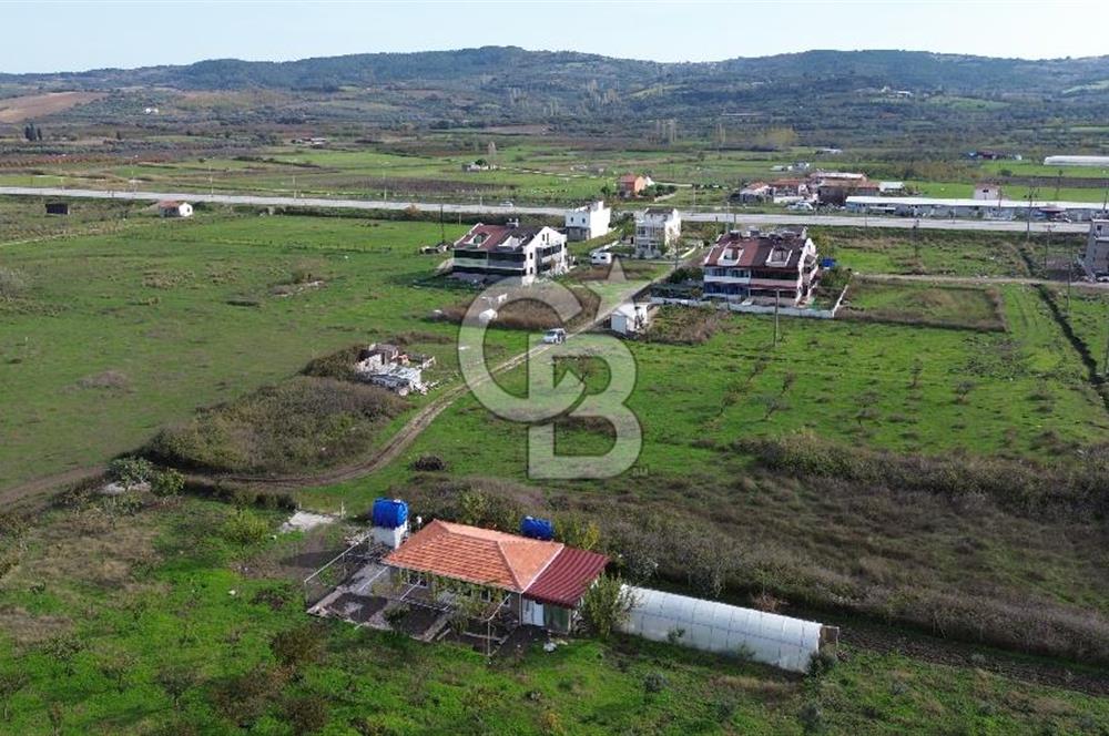 ÇANAKKALE LAPSEKİ – ÇARDAK MEVKİİNDE 171 m² SATILIK ARSA