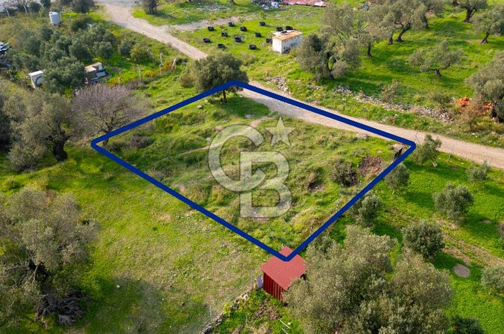 Eski Foça Fevzipaşa Mah. Merkezi Konumda Satılık Arsa