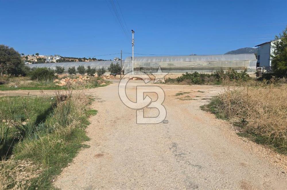 Antalya Kaş Kınık Mah. Satılık Tarla