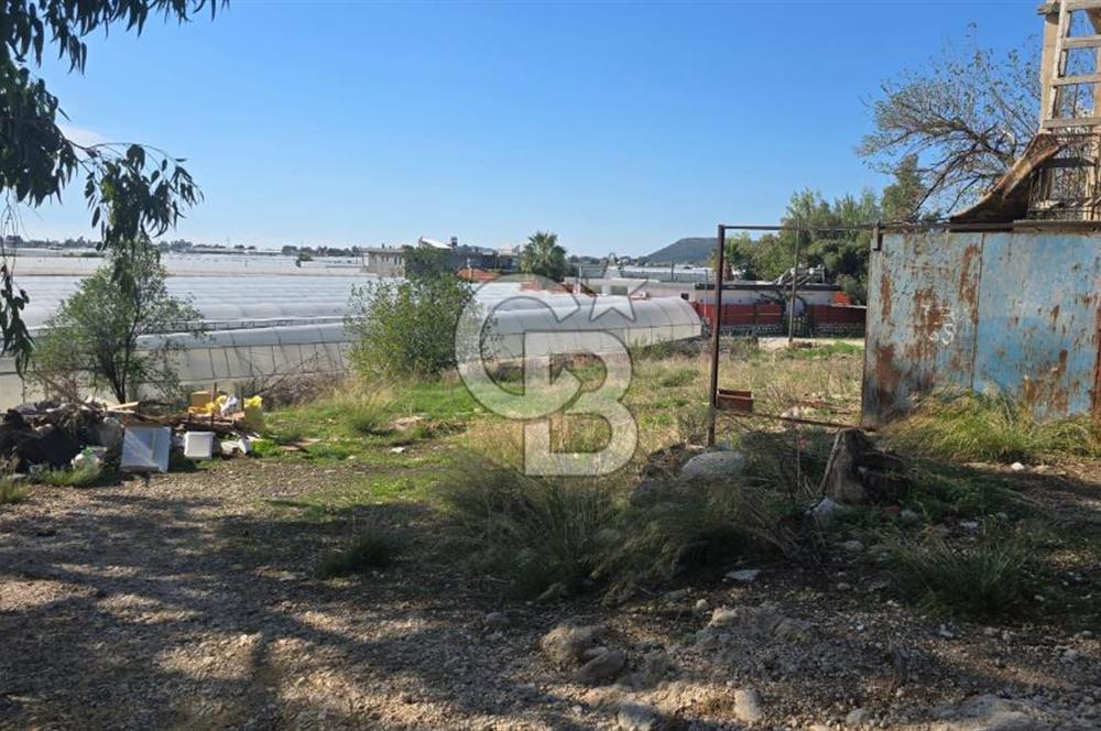 Antalya Kaş Kınık Mah. Satılık Tarla