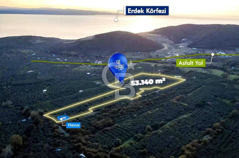 CB EAGLE'DAN ERDEK HALİTPAŞA'DA 53.140 m² SATILIK ZEYTİNLİK