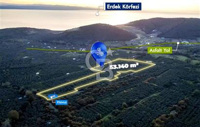 CB EAGLE'DAN ERDEK HALİTPAŞA'DA 53.140 m² SATILIK ZEYTİNLİK