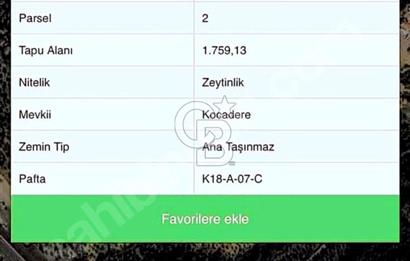 ALİAĞA AŞAĞIŞAKRAN 439 M2 SATILIK ZEYTİNLİK