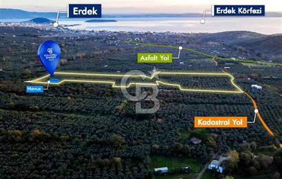 CB EAGLE'DAN ERDEK HALİTPAŞA'DA 53.140 m² SATILIK ZEYTİNLİK