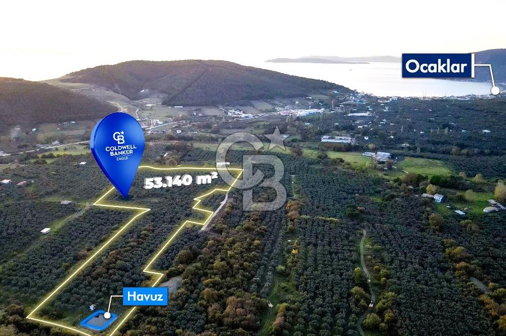 CB EAGLE'DAN ERDEK HALİTPAŞA'DA 53.140 m² SATILIK ZEYTİNLİK