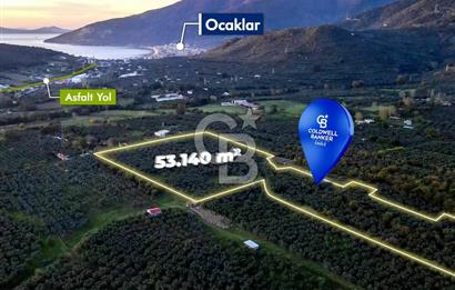 CB EAGLE'DAN ERDEK HALİTPAŞA'DA 53.140 m² SATILIK ZEYTİNLİK