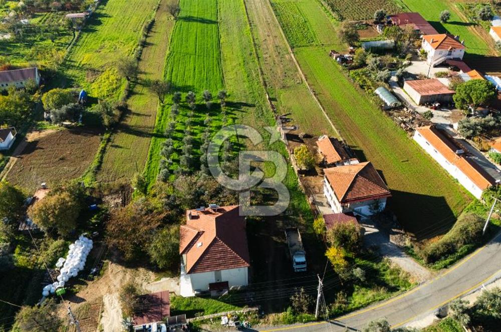 CB MARİNA'DAN YENİCE'DE YOLA CEPHELİ TARIMA UYGUN SATILIK TARLA