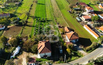 CB MARİNA'DAN YENİCE'DE YOLA CEPHELİ TARIMA UYGUN SATILIK TARLA