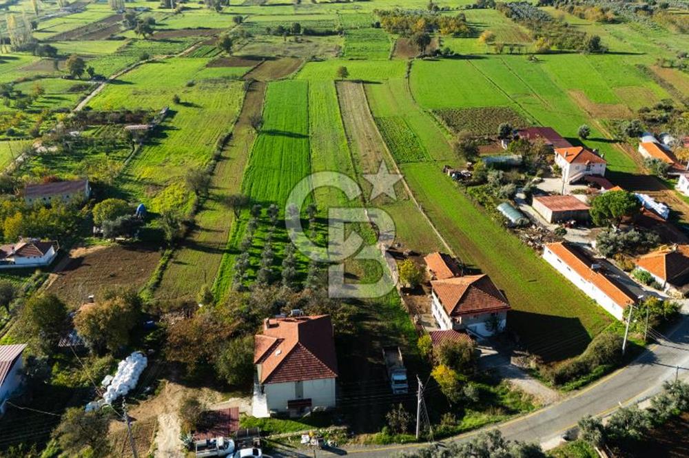 CB MARİNA'DAN YENİCE'DE YOLA CEPHELİ TARIMA UYGUN SATILIK TARLA