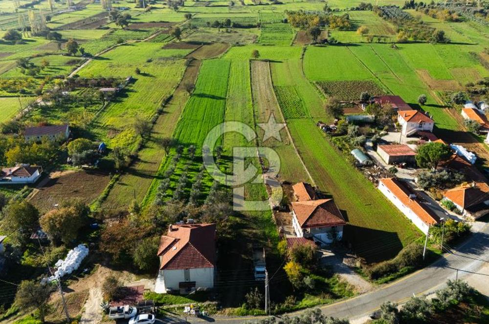 CB MARİNA'DAN YENİCE'DE YOLA CEPHELİ TARIMA UYGUN SATILIK TARLA