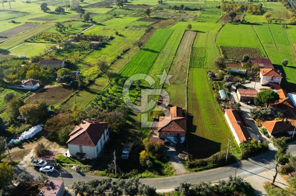 CB MARİNA'DAN YENİCE'DE YOLA CEPHELİ TARIMA UYGUN SATILIK TARLA