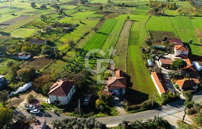 CB MARİNA'DAN YENİCE'DE YOLA CEPHELİ TARIMA UYGUN SATILIK TARLA