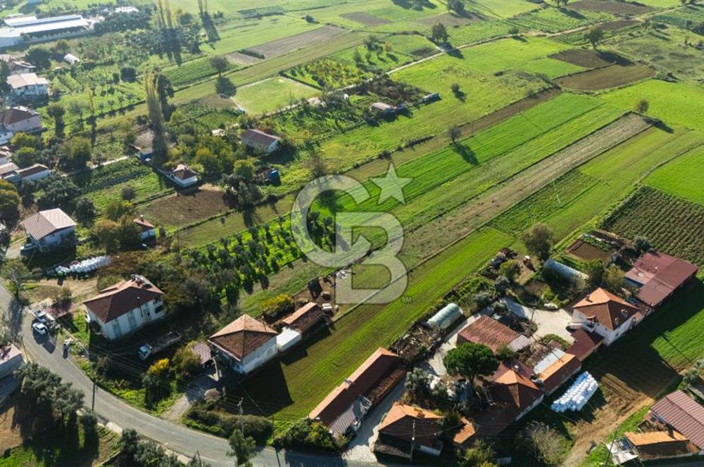 CB MARİNA'DAN YENİCE'DE YOLA CEPHELİ TARIMA UYGUN SATILIK TARLA