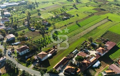 CB MARİNA'DAN YENİCE'DE YOLA CEPHELİ TARIMA UYGUN SATILIK TARLA