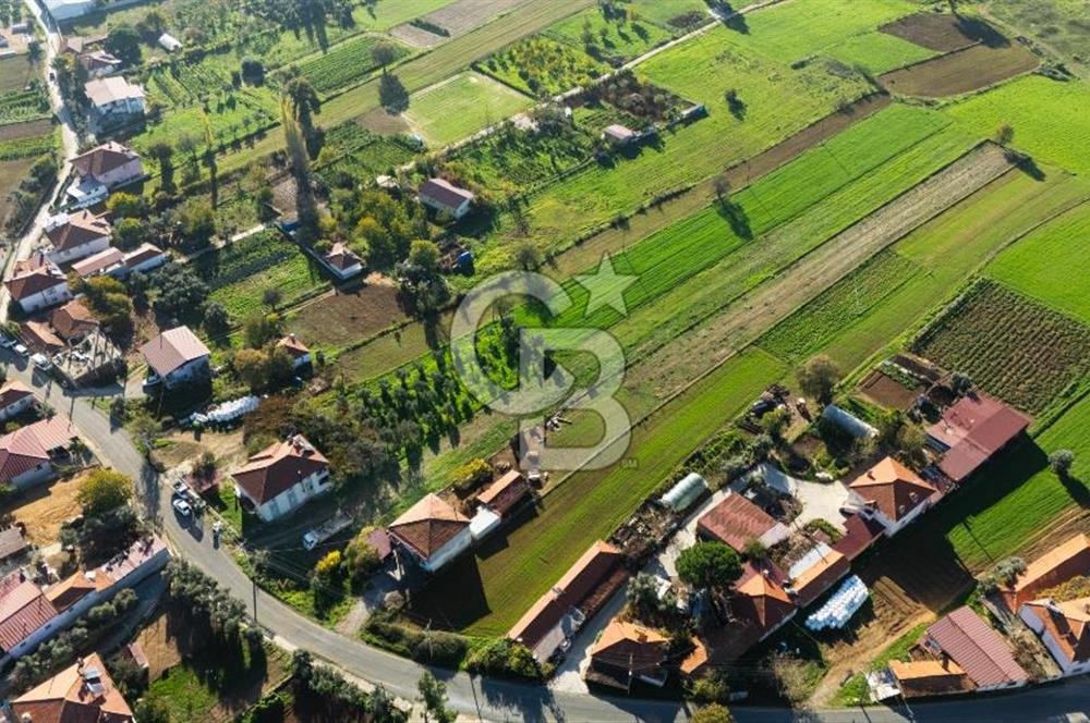 CB MARİNA'DAN YENİCE'DE YOLA CEPHELİ TARIMA UYGUN SATILIK TARLA