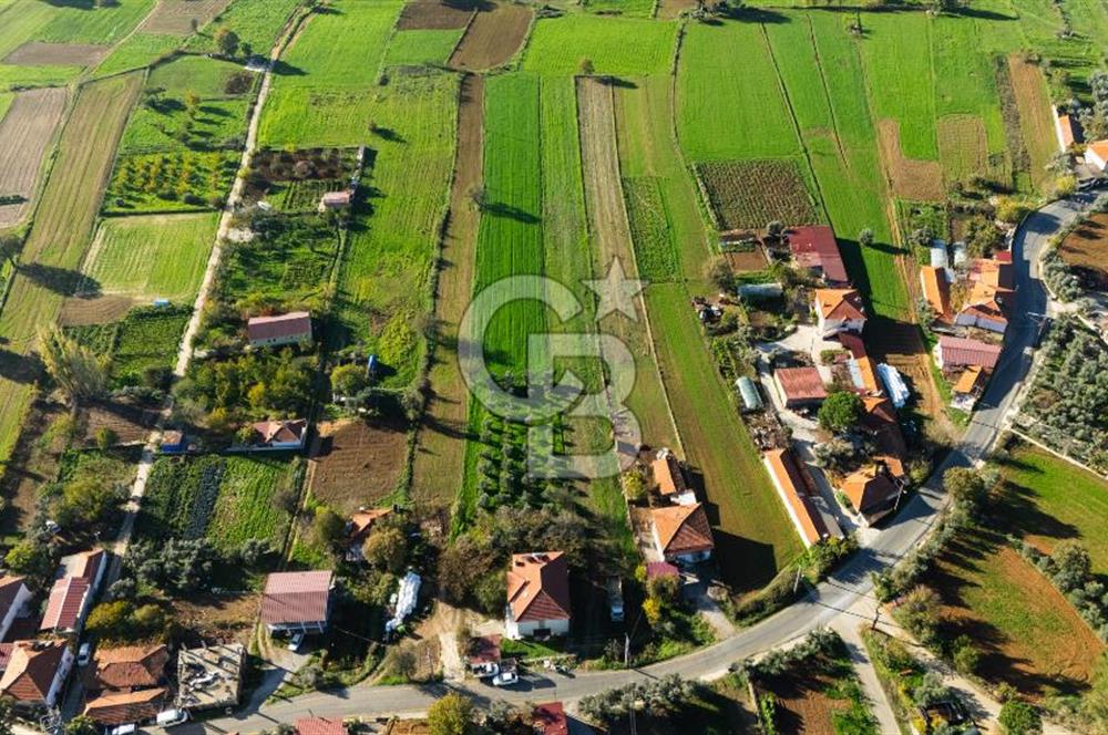 CB MARİNA'DAN YENİCE'DE YOLA CEPHELİ TARIMA UYGUN SATILIK TARLA