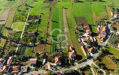 CB MARİNA'DAN YENİCE'DE YOLA CEPHELİ TARIMA UYGUN SATILIK TARLA