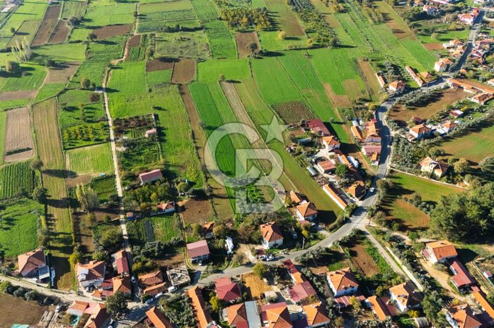 CB MARİNA'DAN YENİCE'DE YOLA CEPHELİ TARIMA UYGUN SATILIK TARLA