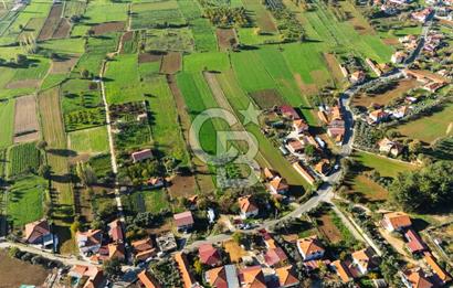 CB MARİNA'DAN YENİCE'DE YOLA CEPHELİ TARIMA UYGUN SATILIK TARLA
