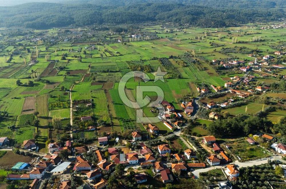 CB MARİNA'DAN YENİCE'DE YOLA CEPHELİ TARIMA UYGUN SATILIK TARLA