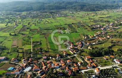 CB MARİNA'DAN YENİCE'DE YOLA CEPHELİ TARIMA UYGUN SATILIK TARLA