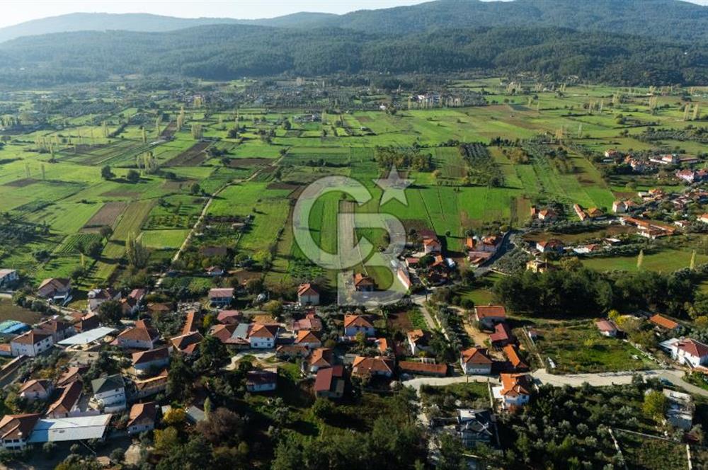 CB MARİNA'DAN YENİCE'DE YOLA CEPHELİ TARIMA UYGUN SATILIK TARLA