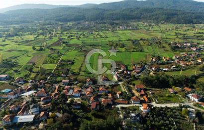 CB MARİNA'DAN YENİCE'DE YOLA CEPHELİ TARIMA UYGUN SATILIK TARLA