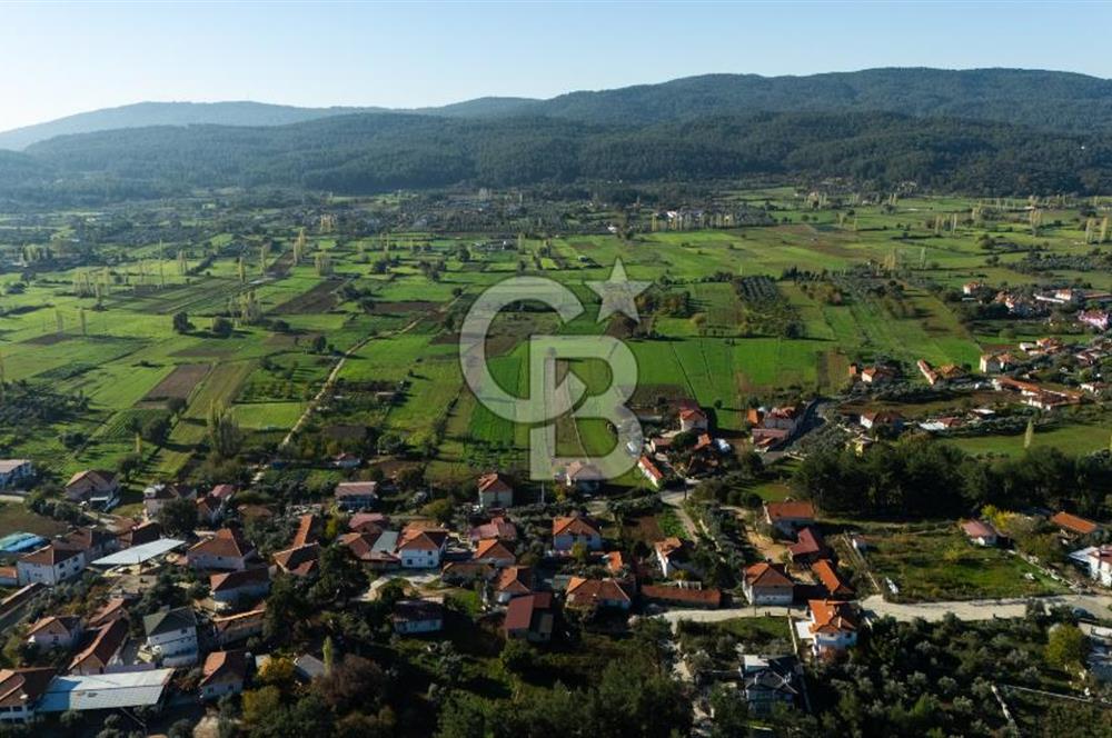 CB MARİNA'DAN YENİCE'DE YOLA CEPHELİ TARIMA UYGUN SATILIK TARLA