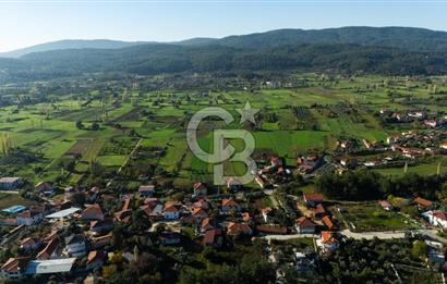 CB MARİNA'DAN YENİCE'DE YOLA CEPHELİ TARIMA UYGUN SATILIK TARLA